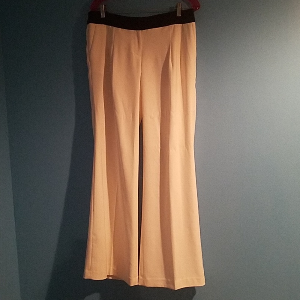 BNWT EXPRESS PANTS